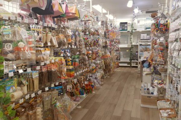 BIRDMORE 南青山店の店内 おもちゃがいっぱい
