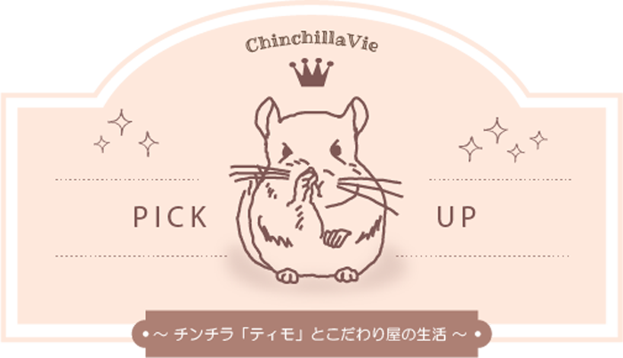 祝 お迎え チンチラの飼育ケージを選ぶ前に理解しておきたいチンチラの特徴 Chinchillavie チンチラ ティモ とこだわり屋の生活