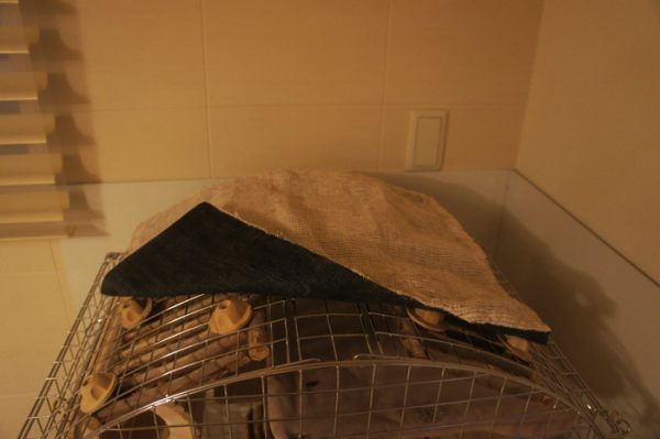 チンチラのティモのケージ 屋根カバーのいたずら防止対策 裏面にデニムを縫い付けてみました